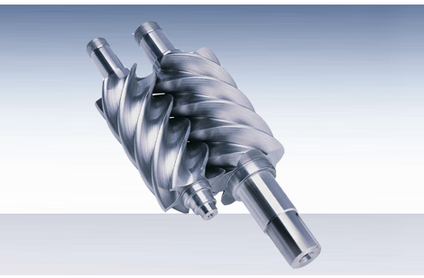 转子- 天津迪尔斯曼机械设备技术有限公司